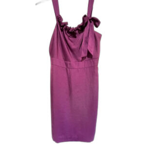 Ann Taylor Loft dress. Gorgeous purple. Size 10. EUC